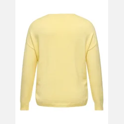 Only Carmakoma Strik Bluse